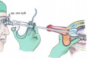 Фишкина солянка за 20.11.2014