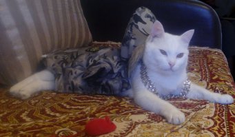 Вот наш Матвей