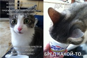 Органы человеческого тела, о которых мы не знали