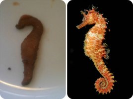 А что , это ? Кто-то навалил, сфоткал и в инстаграм ?