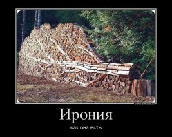 27 деревьев, которым не страшны никакие трудности