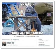 Медведица хочет поиграть!