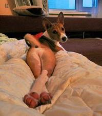 Брейте ноги...