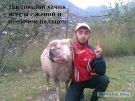 Секс по-арабски: жуткие традиции