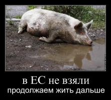 Вот это ее позиция!