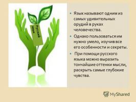 Русский язык и его секреты. 