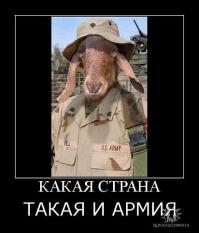 Как армия изменила жизнь толстого прыщавого ботана