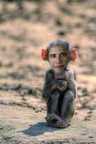 Барак Обама - Игра окончена