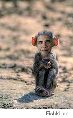 Барак Обама - Игра окончена