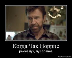 Молодой Чак Норрис  фото