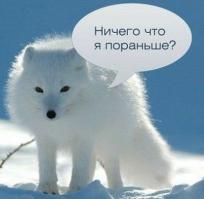 Киевлянам дважды в день будут отключать электричество