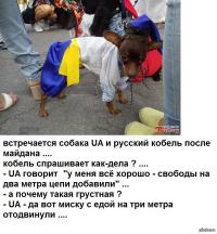 Киевлянам дважды в день будут отключать электричество