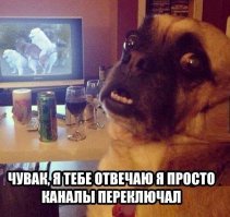  Нашим друзьям  посвещается!          Собаке человек друг! 