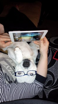 И в инете чатится...