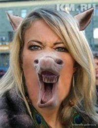 Военные корреспонденты "КП" ответили Ксении Собчак 