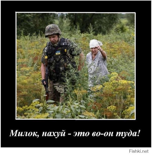 Люди Безлера в Горловке раздавали ворованных кур