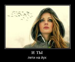 Откуда берутся подобные аккаунты на Фишках?