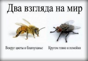 а чё, не так что ли!?
