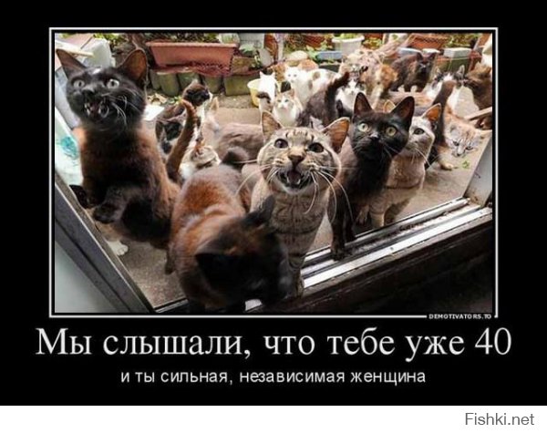 Когда одна встреча может изменить жизнь