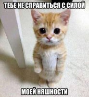Войлочный котенок в шапочке от Валерии Рамировой