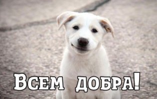 Исцеление от смерти