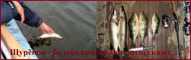 Монстр на крючке или за Ангарскими трофеями