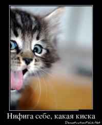 На ком женат самый дорогой футболист мира?