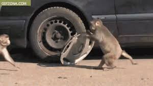 старый п.и.д.а.р напомнил мне этого