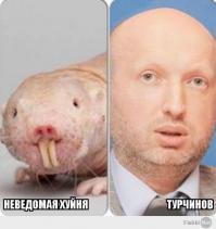 Исторические двойники знаменитостей