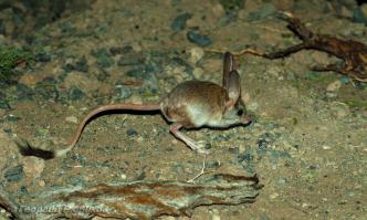 Фотоподборка за 27.06.2014