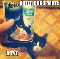 Очень похожи