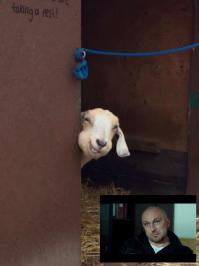 "Тогда и сейчас"