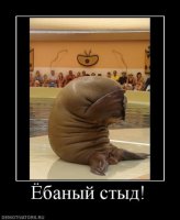 Тише, тише я сам офигел