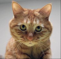 Что ты знаешь о боли?