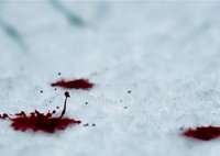 Лолита — История девушки с обложки