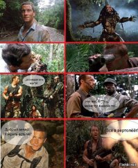 Самые большие насекомые