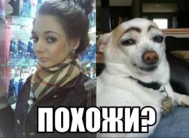 Люди, которые похожи на знаменитостей