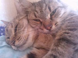 мои тоже чудно спят))