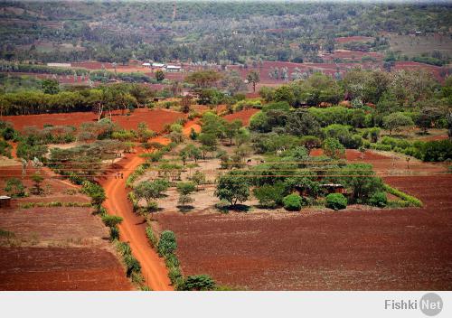 Танзания. Африка.