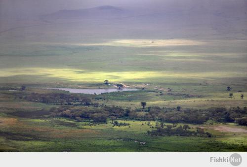 Танзания. Африка.