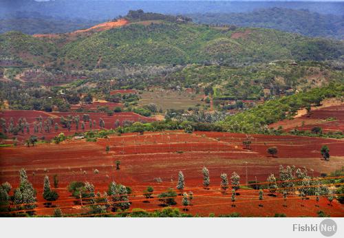 Танзания. Африка.