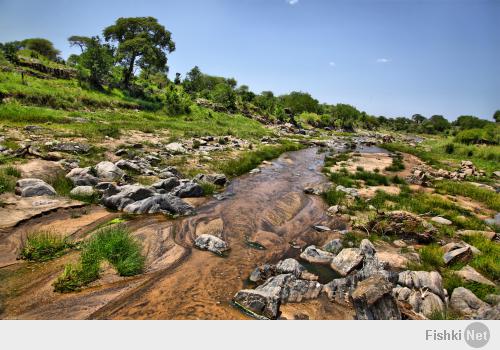 Танзания. Африка.