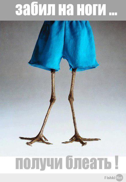 Подборка видео от 28.02.2014