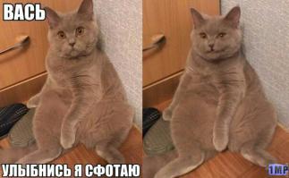 Фишкина солянка за 18.09.2014 