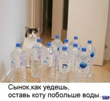 Фишкина солянка за 18.09.2014 