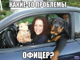 Фишкина солянка за 18.09.2014 