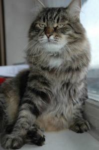 А вот моя не шибко счастлива))