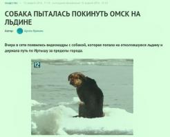 Пусть мама услышит, пусть Мама прийдёёёт ... )))