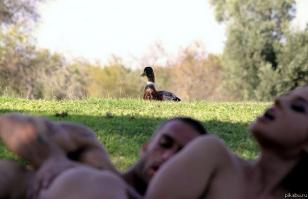 25 животных, которые обожают подсматривать