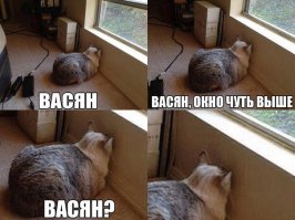 Сфотографировал пейзаж